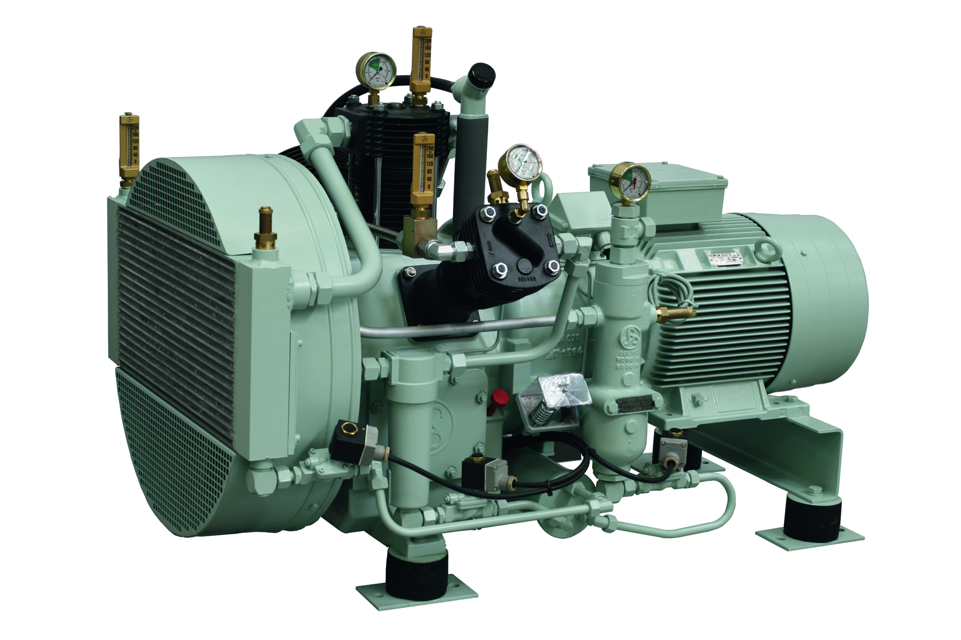 SauerWP81L